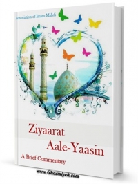 Ziyaarat Aale-Yaasin, A Brief Commentary